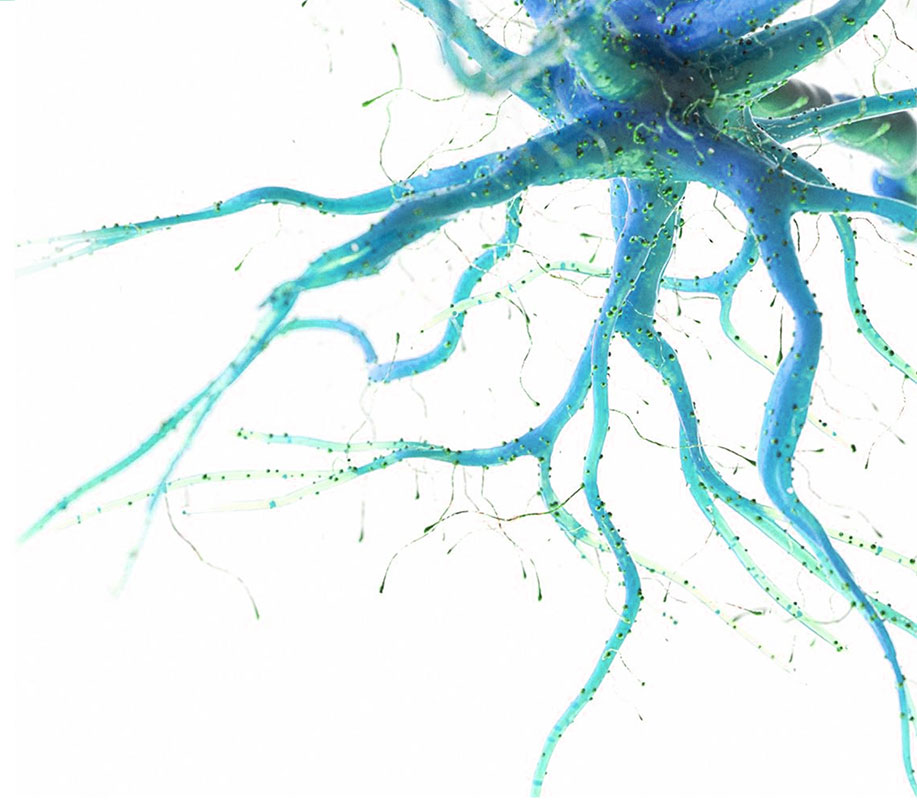 About Longboard Pharmaceuticals